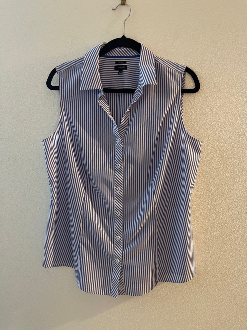 Talbots Blue and White Striped Sleeveless Button-Down Shirt